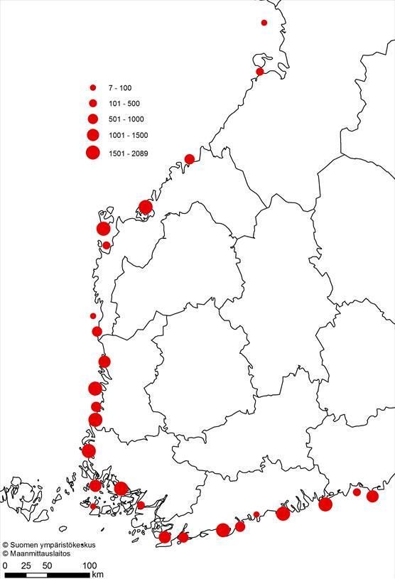 Merimetson alueelliset pesämäärät (kpl) vuonna 2019